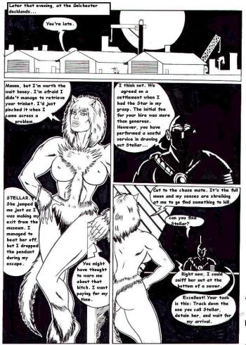 Cover of Stellar 1 - Night (And Day) Of The Vixen 1